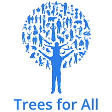 trees for all teambuilding Middlesbrough